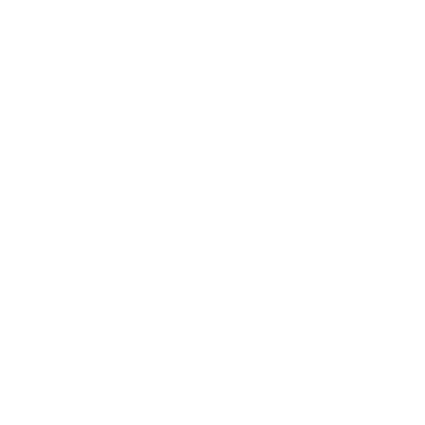 Icône Spotify